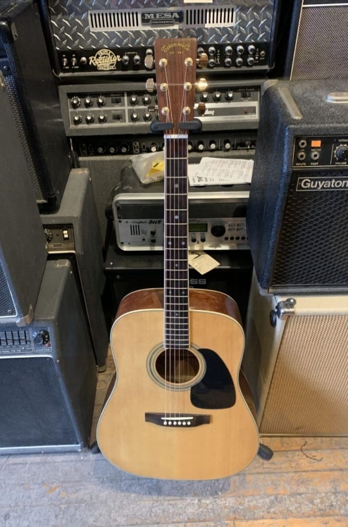 1991 Takamine TD-30