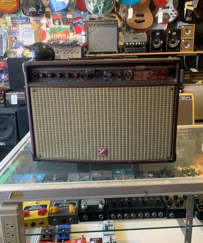 Yorkville AM-100